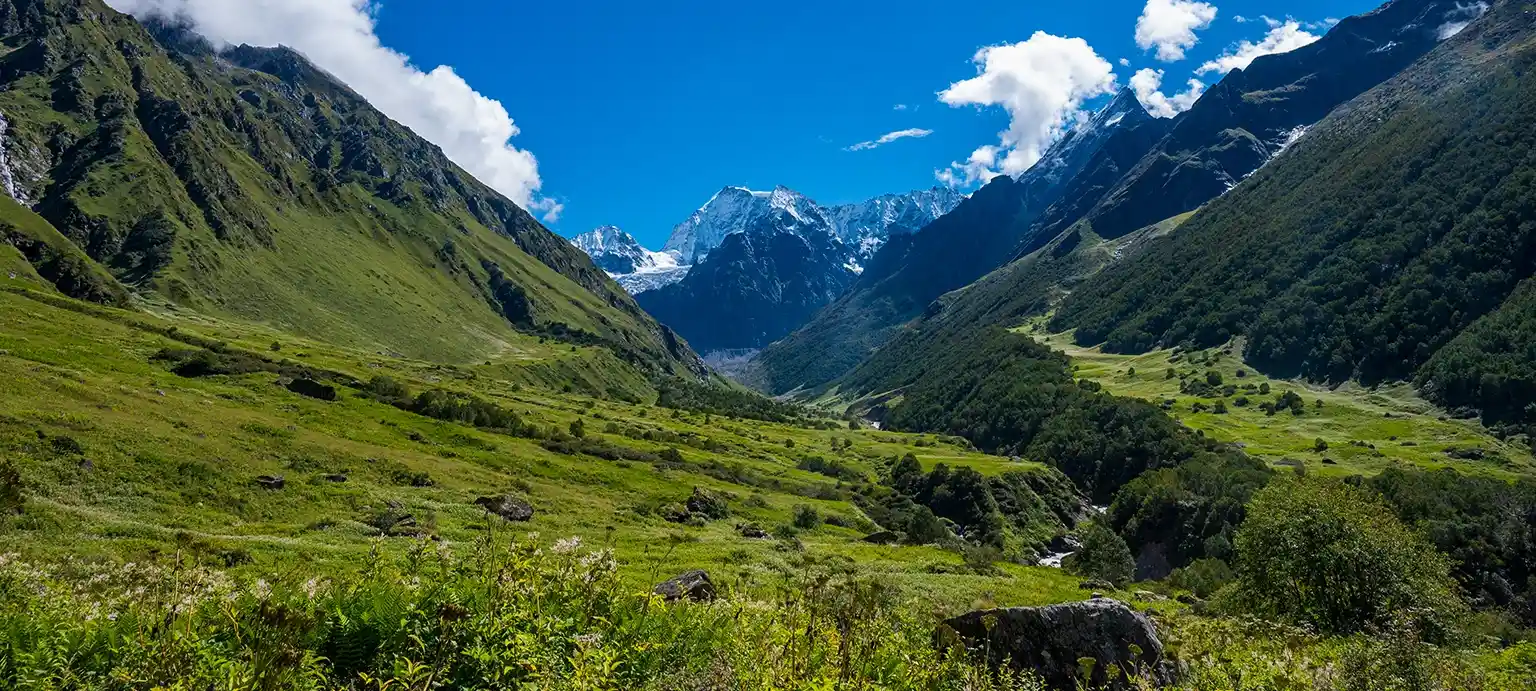 Valley of Flowers Trek